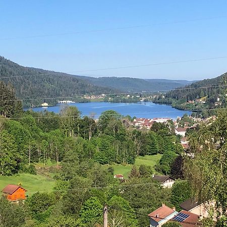 F3 Superbe Vue Lac, Grand Balcon, Ambiance Nature Gérardmer Esterno foto