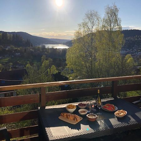 F3 Superbe Vue Lac, Grand Balcon, Ambiance Nature Gérardmer Esterno foto